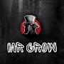 MR CROW
