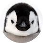 @Likepenguin0