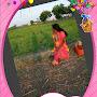 @vijiarts......sivakasi....8236
