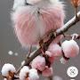 @carriekay5987