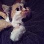@ВалентинаПасичник-ч8ш