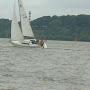 @sailfish1864