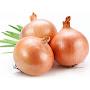 Onion Life
