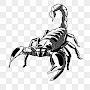 The Iron Scorpion 