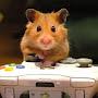 @immahamsteryogamer