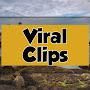 Viral Clips