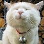 @fishcat5799