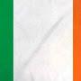 @IrishGary1