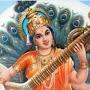 @shreyadixit8090