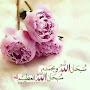 @hajifaisalabbas4651