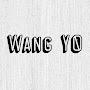 WANG Y0_MUSIC