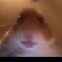 @imnotfaze2034