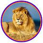 @DiscoverofAfricanWildlife