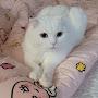 @sunmu_10