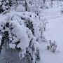 @fadimekarakose9800