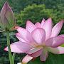 @Lile1959