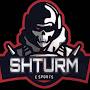 ShturM Pubg Mobile