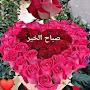 @salsabilhammami1583