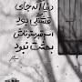 @Alirezabayat-r14