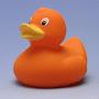 Orange Duck