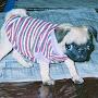 @Qthepug