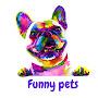 funny pets 