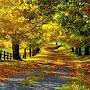 @chaitanyagopinadh6000
