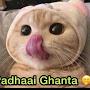 @jaatranger229