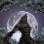 @Nicothewerewolf