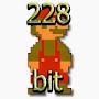 @228bit