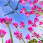 @Ahmad_55773