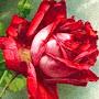 @flowernovember4210