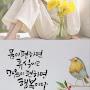 @장미cv