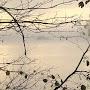 @vaidasdamidavicius5028