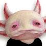 @Philiqification