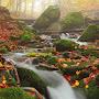 @rustamabdurhimov853