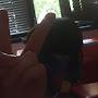 @user-pt8mx2xl3s