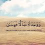 @seeratrashid.2995