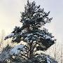 @Нина-л9ь5б
