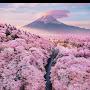 @pilotmovie8224