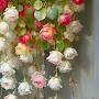 @LovelyRose7979_7