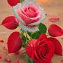 @JaswinderSingh-gl4gh