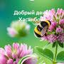 @ХасанбойСолиев-щ9ъ
