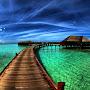 @tangytoucan9832