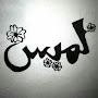 @lamees_elemam