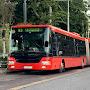 @Bratislavsky_autobusak2519