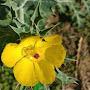 @Kabita_sitha_5.6