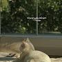 @OmarHamada-f9s