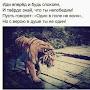 @АлександрВорошилов-ж8н