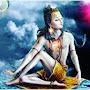@shellyvashishtha777